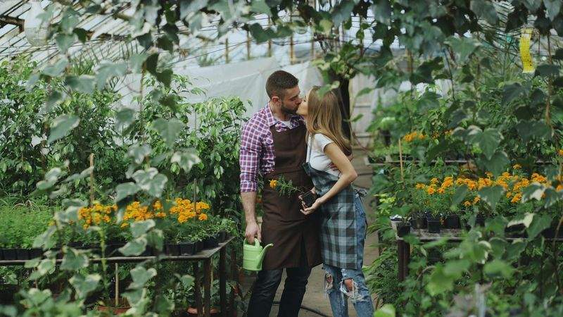 Jardins & Harmonie 5