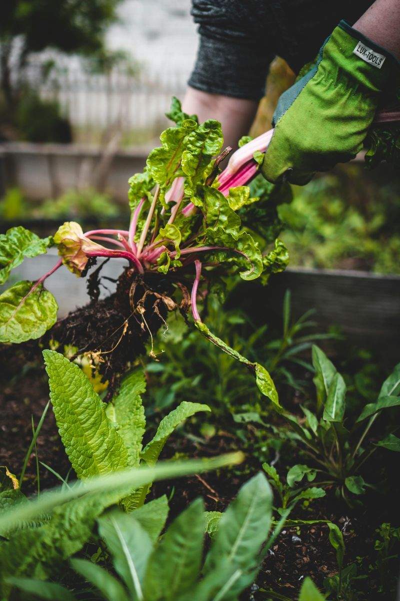 Nettoyage de printemps et remise en état des espaces verts